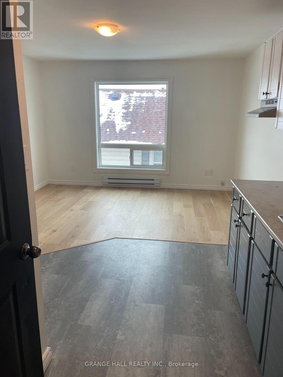 12 - 14 Elgin Street, Orillia, Ontario  L3V 1R9 - Photo 7 - S13870150