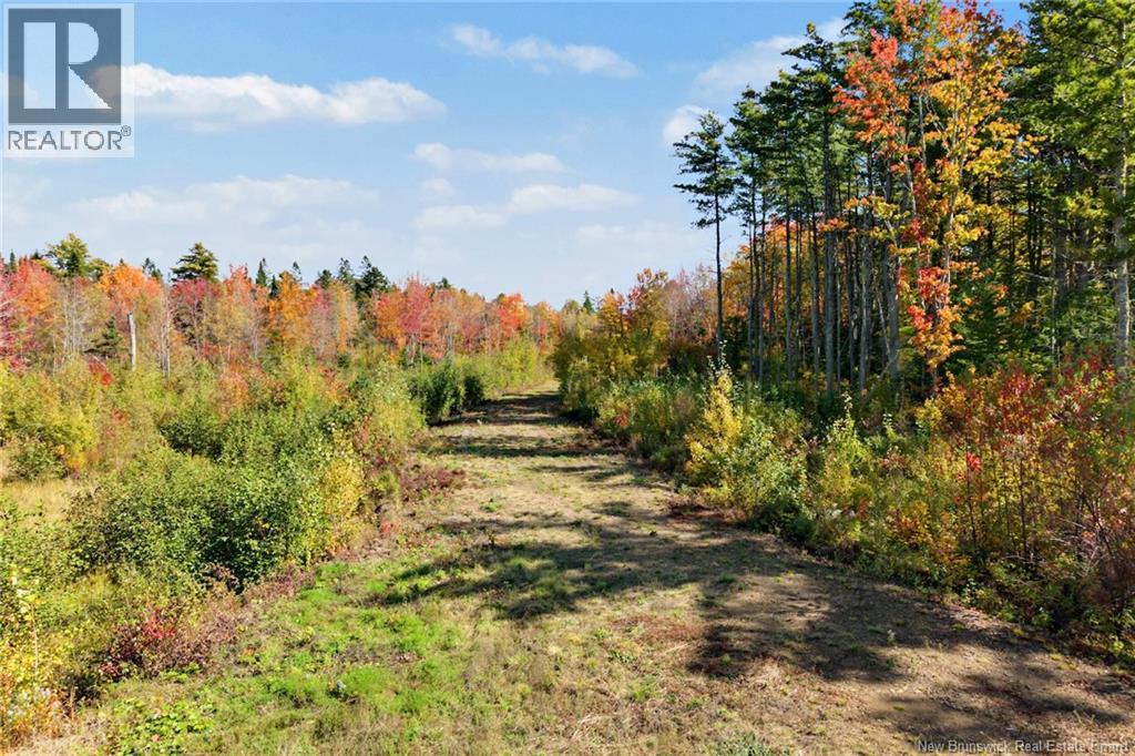 Lot Highway 10, Coal Creek, New Brunswick  O0O 0O0 - Photo 19 - NB149265