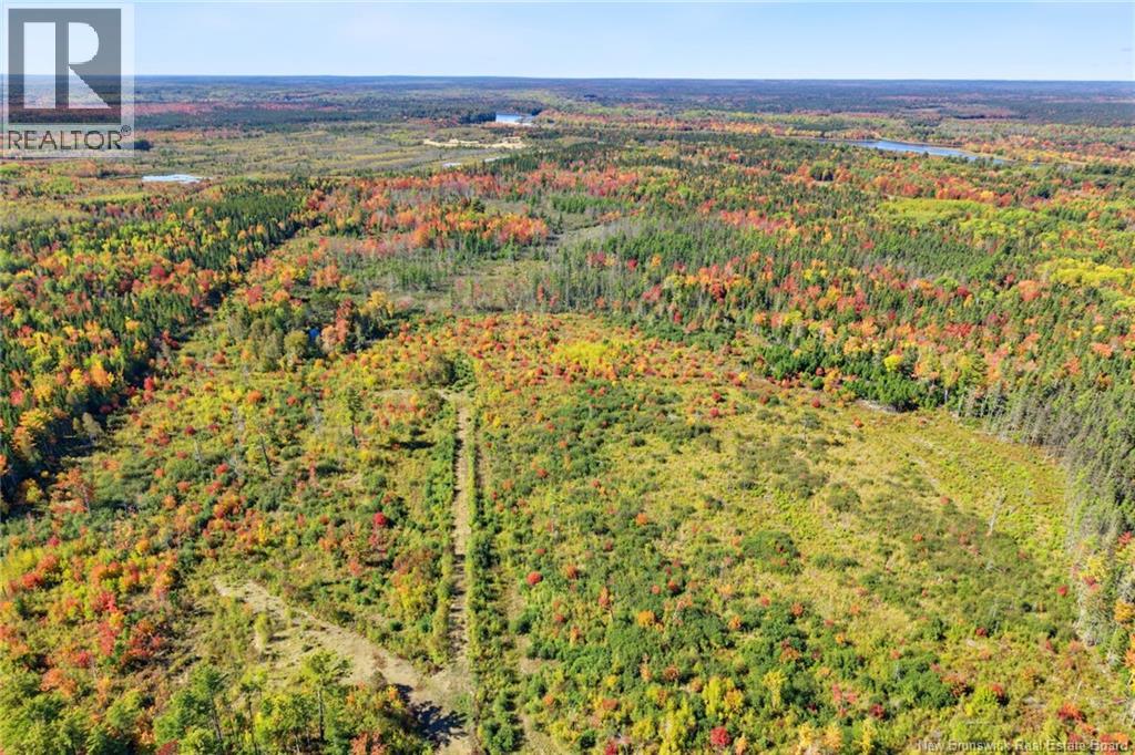 Lot Highway 10, Coal Creek, New Brunswick  O0O 0O0 - Photo 23 - NB149265