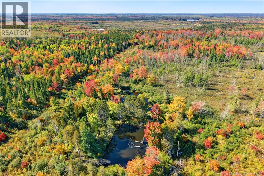 Lot Highway 10, Coal Creek, New Brunswick  O0O 0O0 - Photo 14 - NB149265