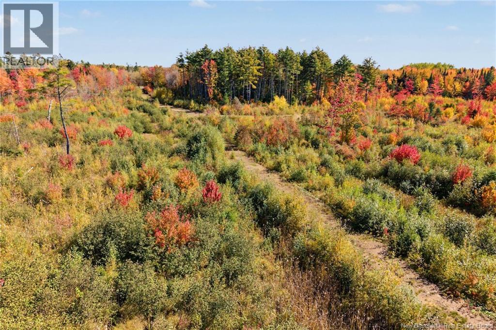 Lot Highway 10, Coal Creek, New Brunswick  O0O 0O0 - Photo 20 - NB149265