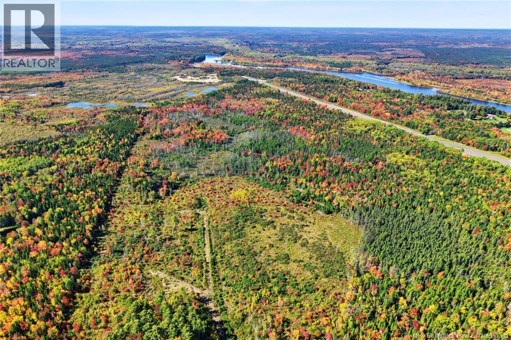 Lot Highway 10, Coal Creek, New Brunswick  O0O 0O0 - Photo 24 - NB149265