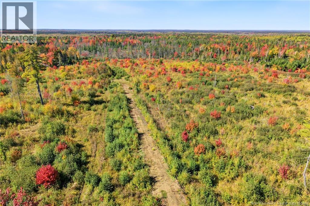 Lot Highway 10, Coal Creek, New Brunswick  O0O 0O0 - Photo 21 - NB149265