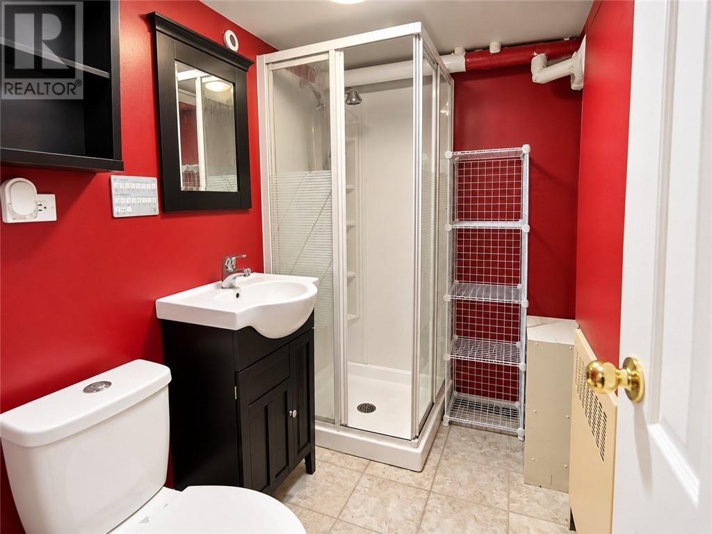 67 O'connor Street Unit# Lower, Sudbury, Ontario  P3E 1J1 - Photo 6 - 2130830