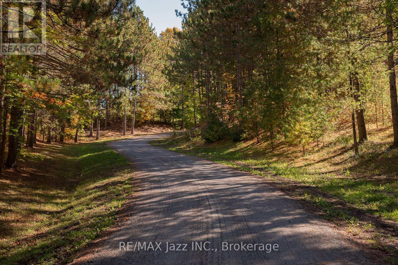 753 Syer 8th Line, Cavan Monaghan, Ontario  L0A 1C0 - Photo 10 - X13870692