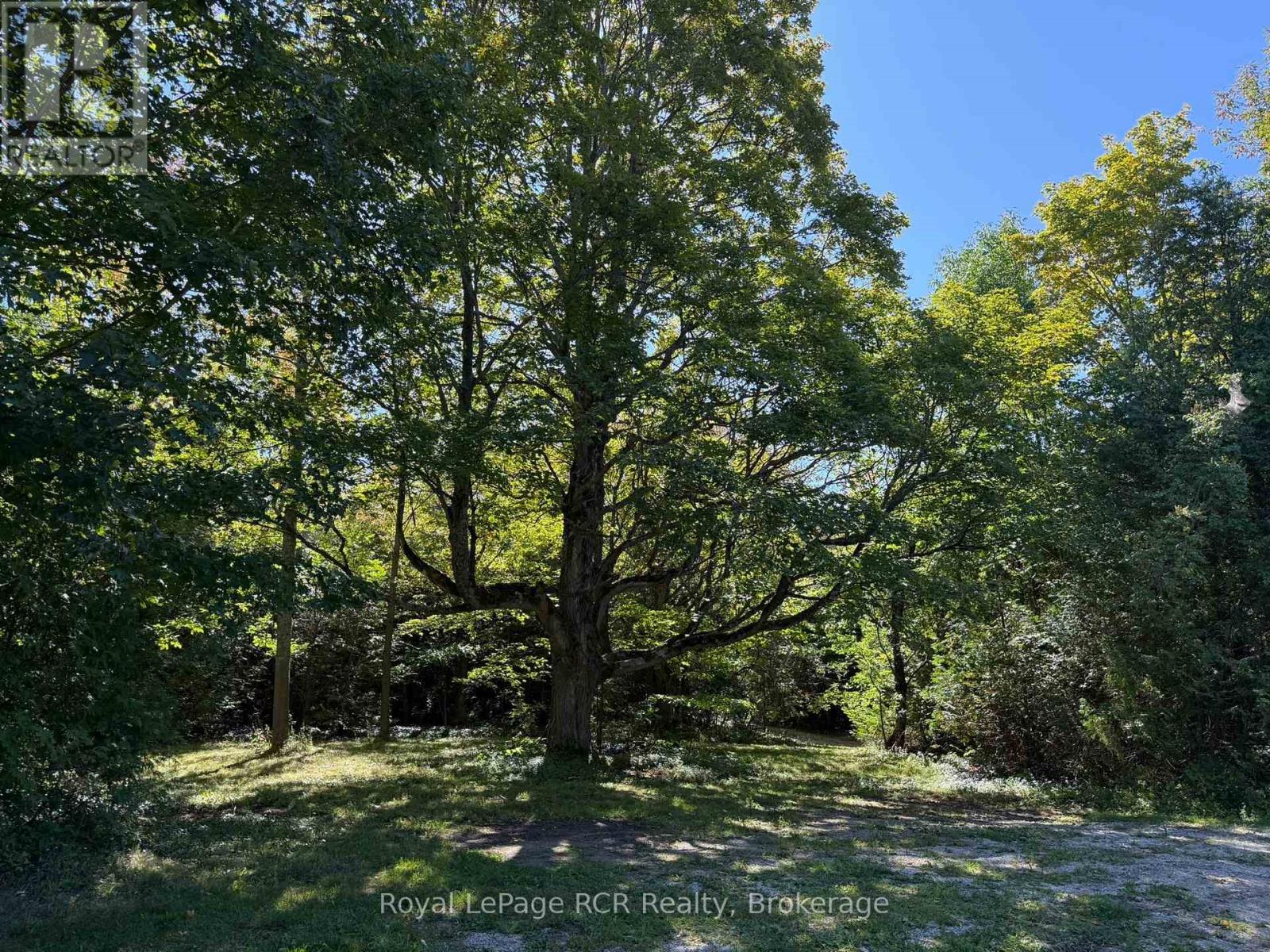204470 Highway 26, Meaford, Ontario  N4K 5W4 - Photo 33 - X13871086