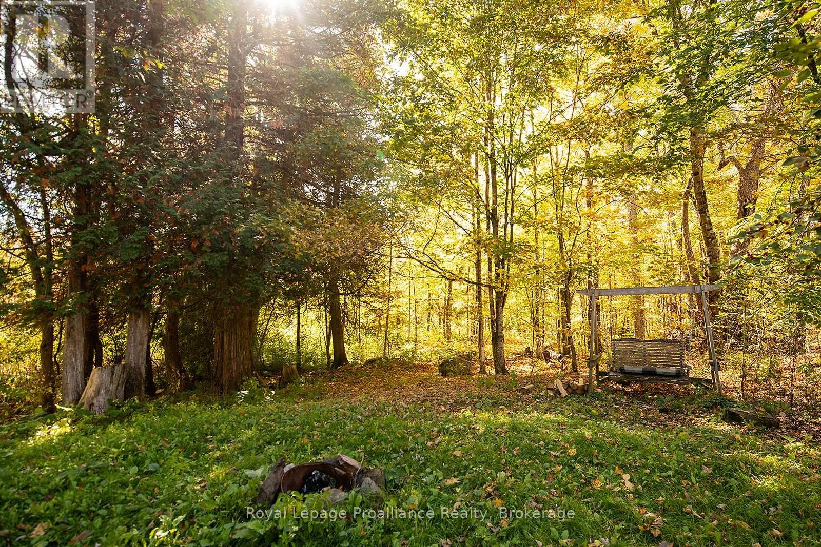 2840 Rapids Road, Tweed, Ontario  K0K 3J0 - Photo 21 - X13799252