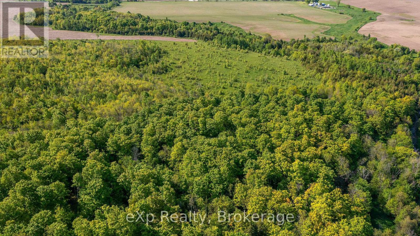 E 1/2 Lt 29-30 Con 4; Sideroad 30, Meaford, Ontario N0H 1B0 - Photo 17 - X13871376