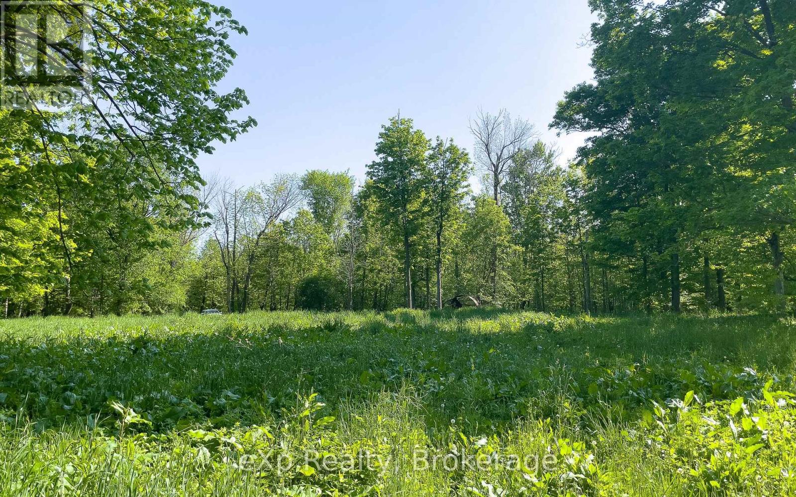 E 1/2 Lt 29-30 Con 4; Sideroad 30, Meaford, Ontario N0H 1B0 - Photo 36 - X13871376