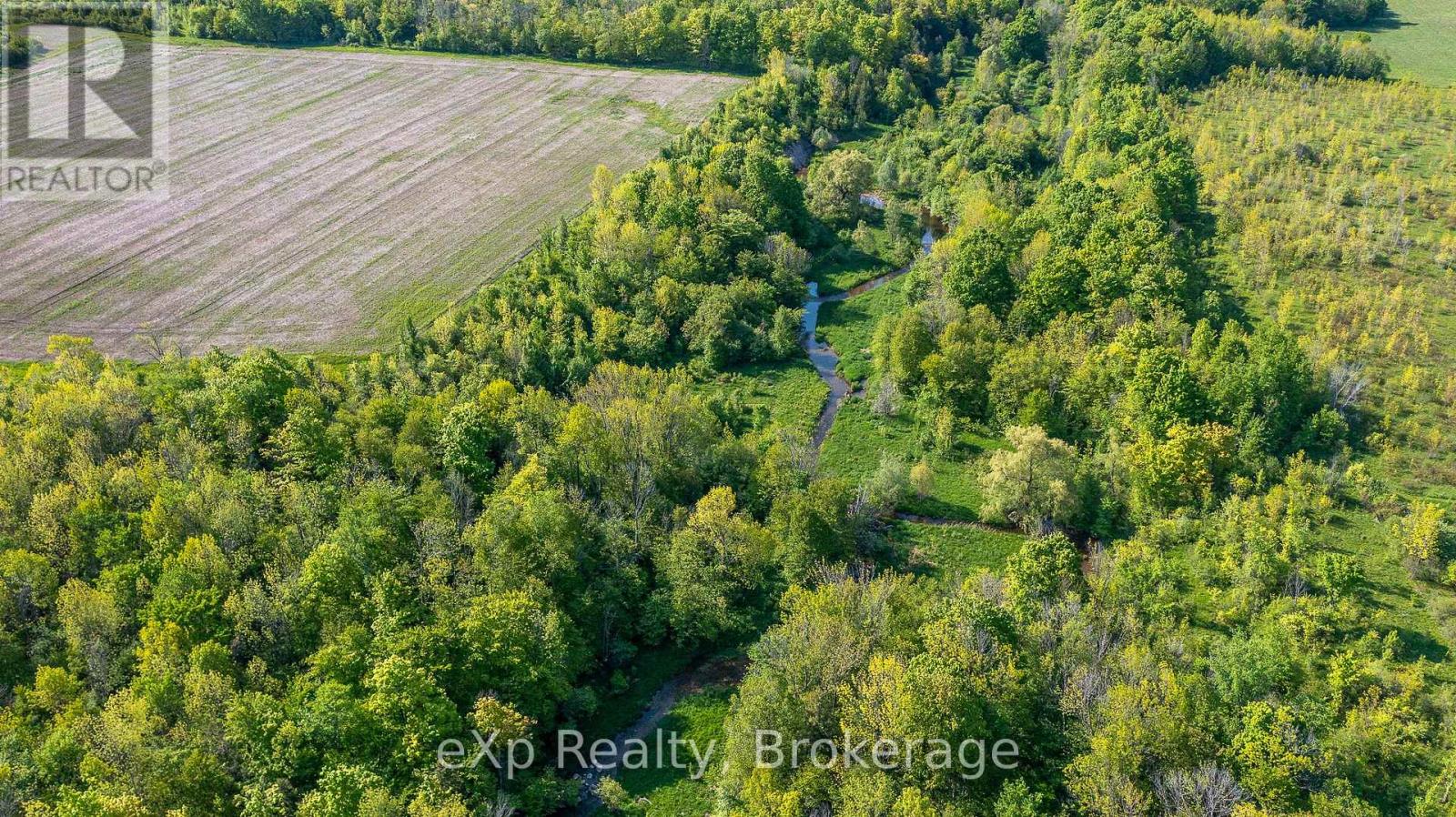 E 1/2 Lt 29-30 Con 4; Sideroad 30, Meaford, Ontario N0H 1B0 - Photo 8 - X13871376