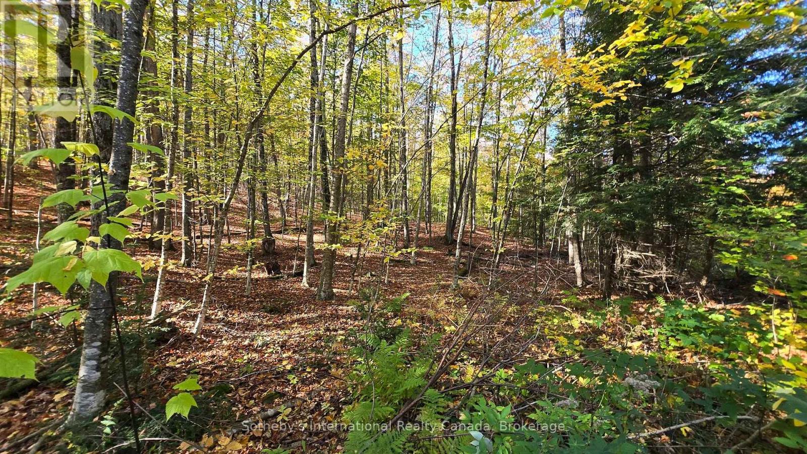 0 MINK LOT 17 ROAD, Dysart et al, Ontario
