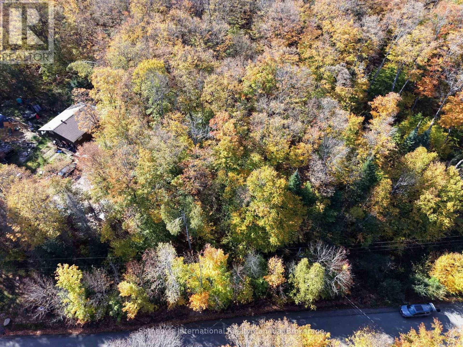 0 Mink Lot 17 Road, Dysart Et Al, Ontario K0M 1S0 - Photo 4 - X13871438