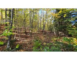 0 MINK LOT 17 ROAD, dysart et al (dudley), Ontario
