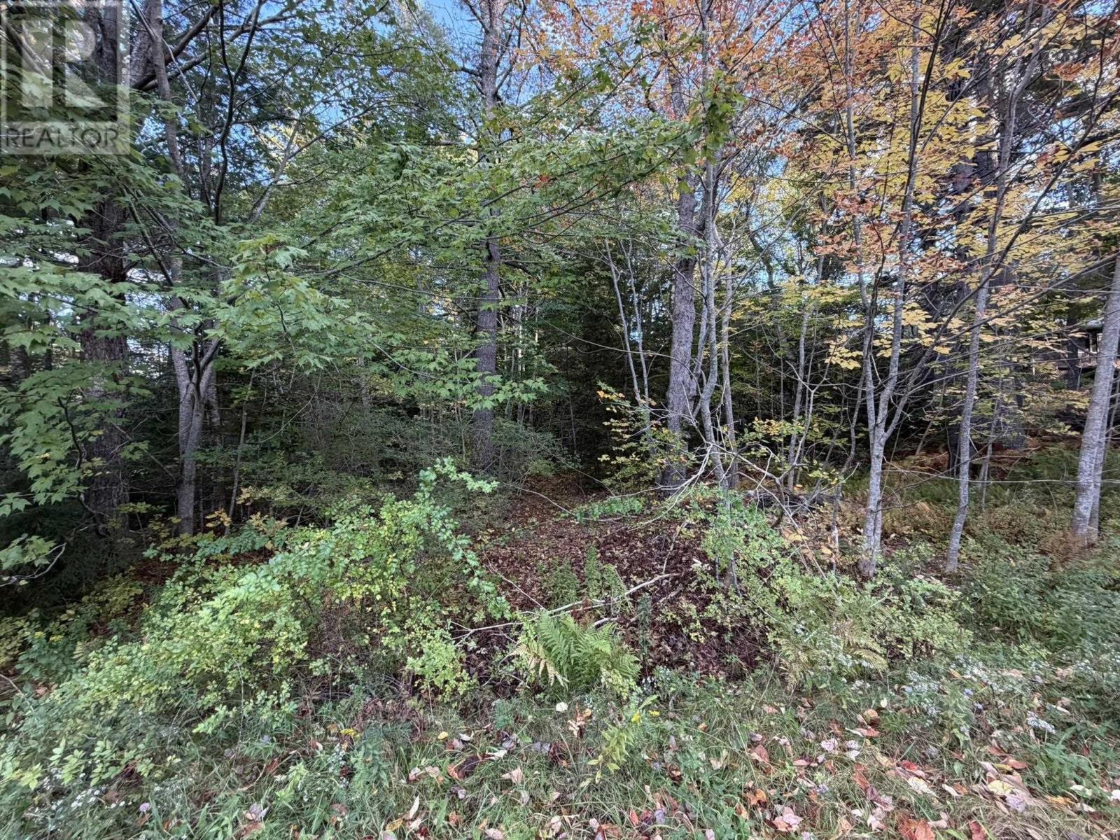 Lot PID#70072707 School Street Milton Nova Scotia Canada B0T1P0 4