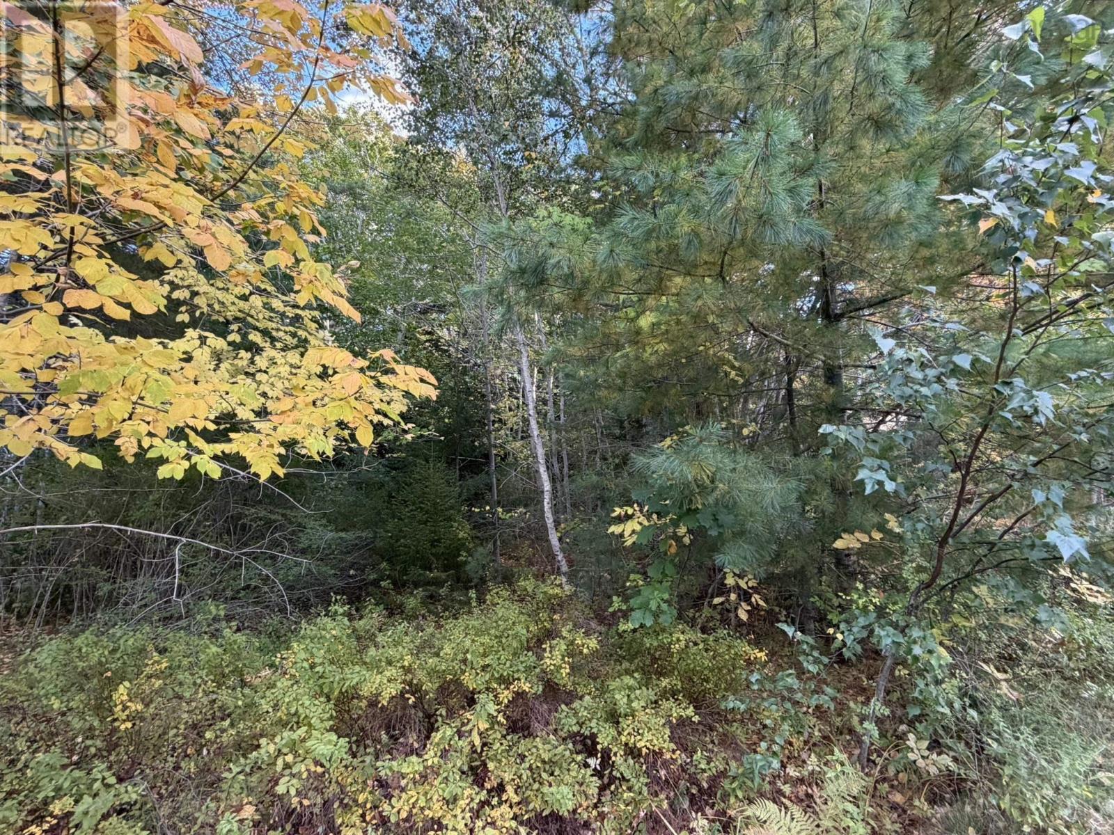 Lot PID#70072707 School Street Milton Nova Scotia Canada B0T1P0 3