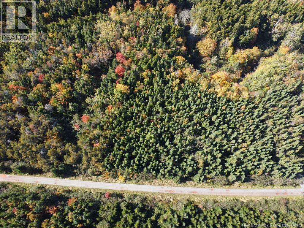 Lot 25-3 Mulligan Road, Fundy, New Brunswick  E4H 2M3 - Photo 10 - NB149033