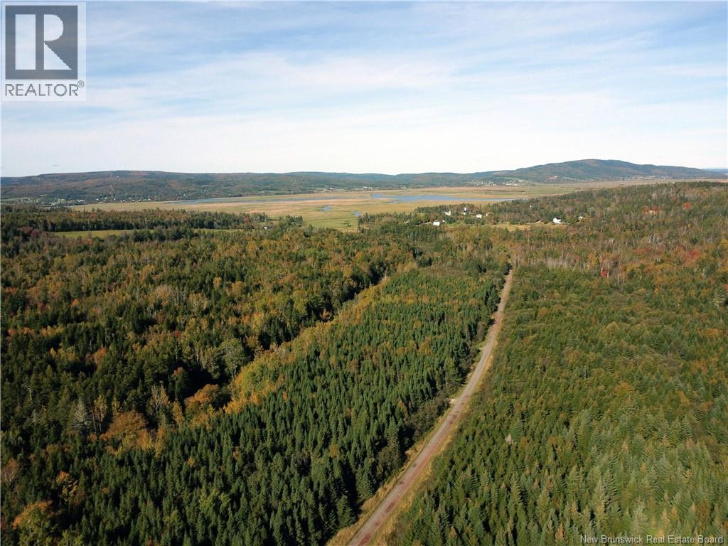Lot 25-3 Mulligan Road, Fundy, New Brunswick  E4H 2M3 - Photo 12 - NB149033