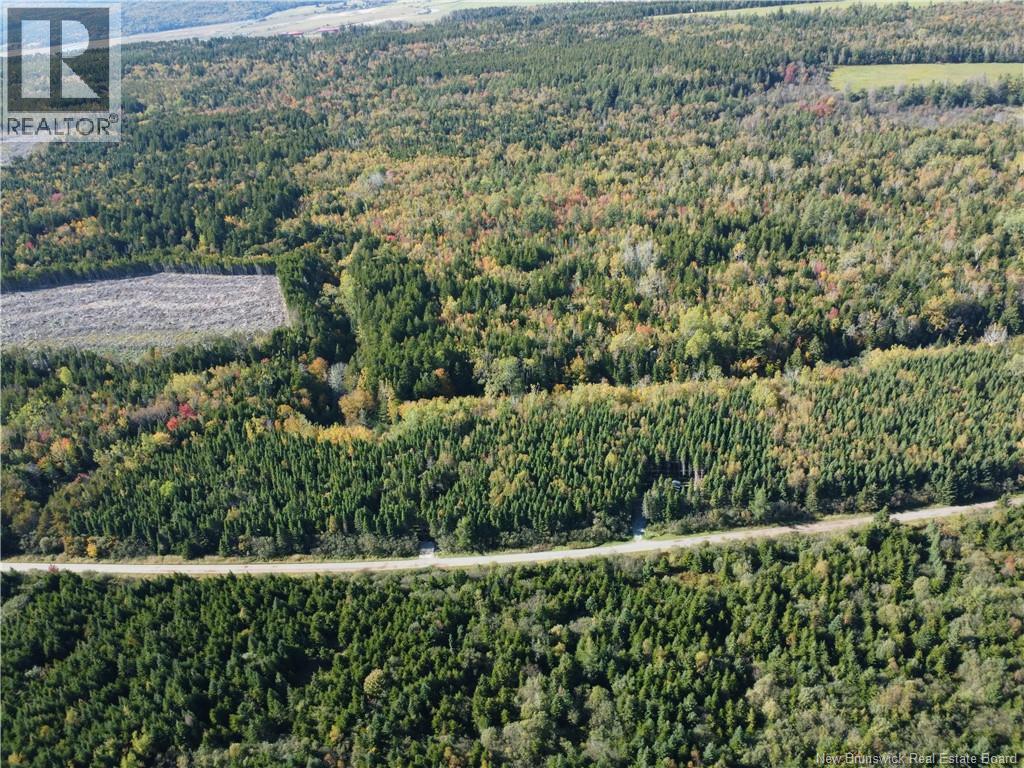 Lot 25-3 Mulligan Road, Fundy, New Brunswick  E4H 2M3 - Photo 5 - NB149033