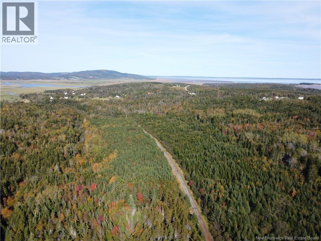 Lot 25-3 Mulligan Road, Fundy, New Brunswick  E4H 2M3 - Photo 9 - NB149033
