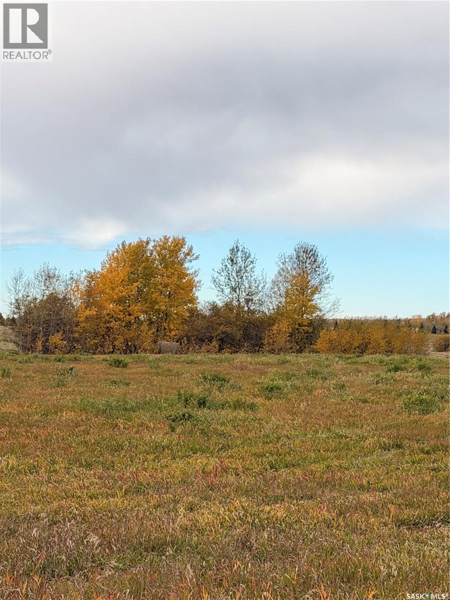 10 Acres Northern Meadows, Lac Des Îles, Saskatchewan  S0M 1A0 - Photo 3 - SK050526
