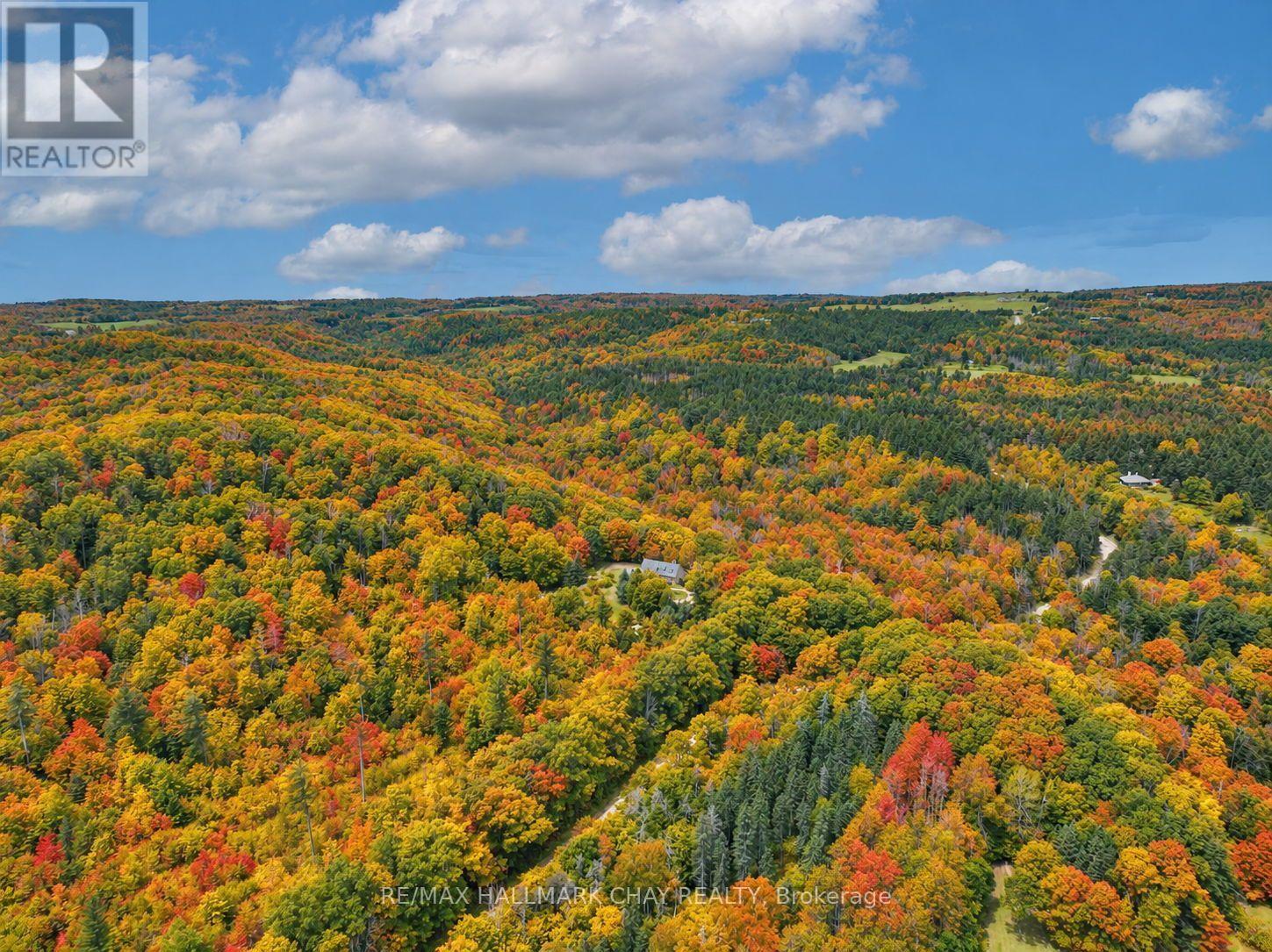 718078 1st Line East Line, Mulmur, Ontario  L9V 0G3 - Photo 2 - X13565452