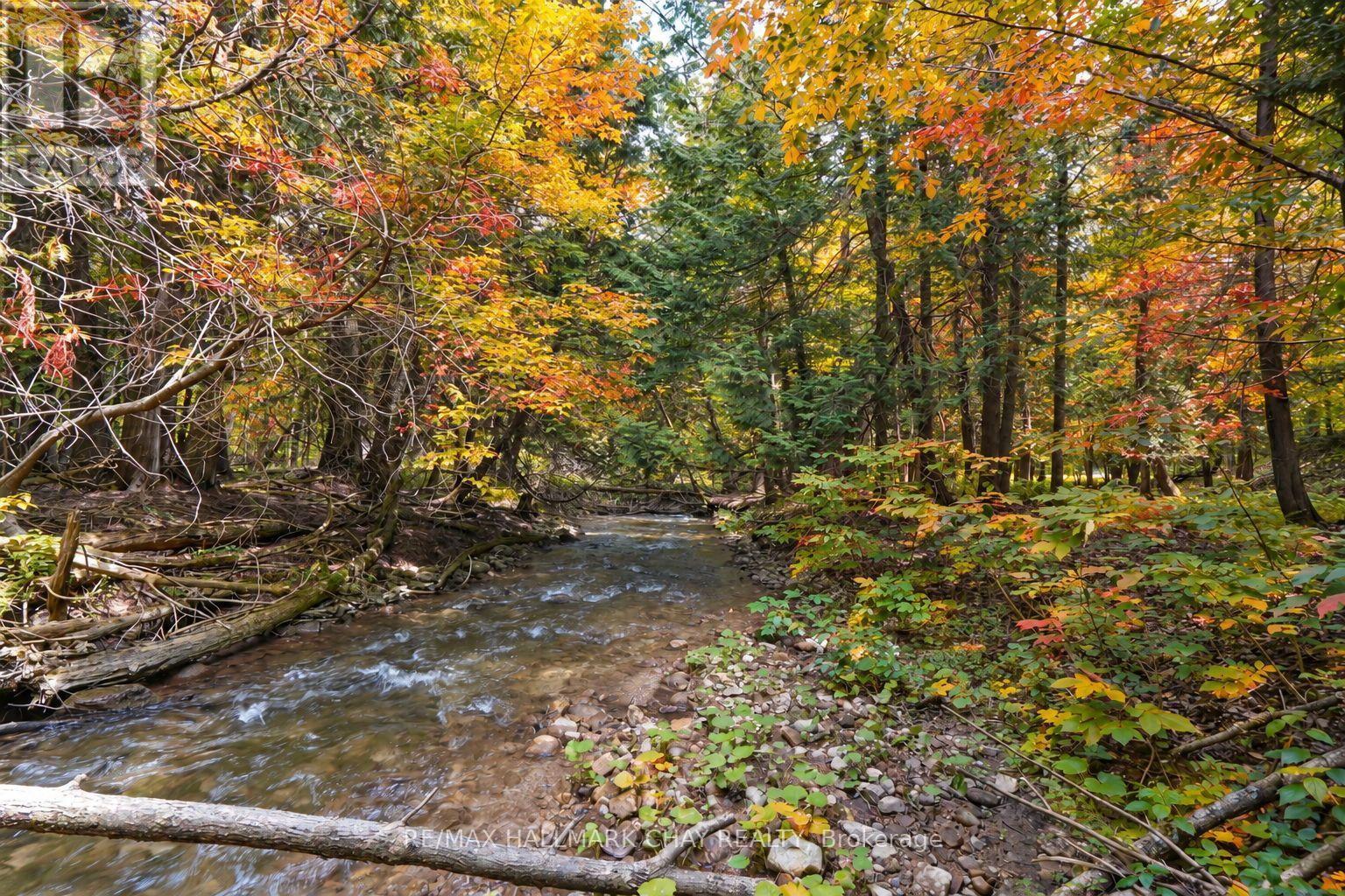 718078 1st Line East Line, Mulmur, Ontario  L9V 0G3 - Photo 36 - X13565452
