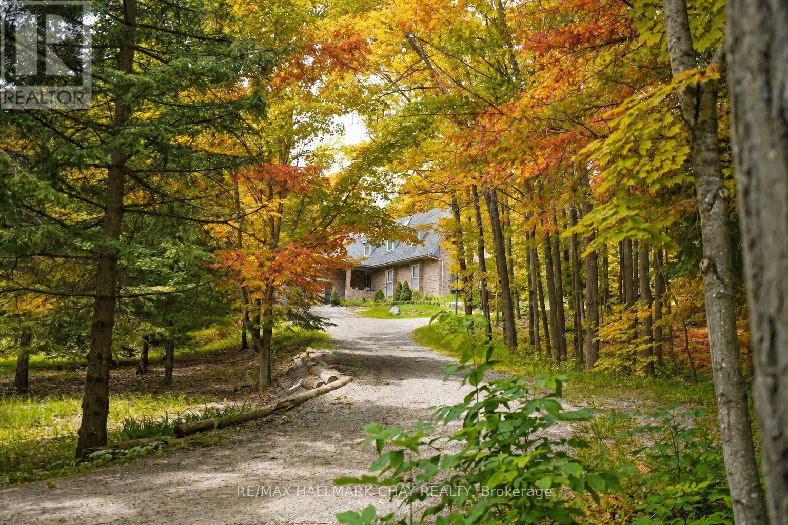 718078 1st Line East Line, Mulmur, Ontario  L9V 0G3 - Photo 32 - X13565452