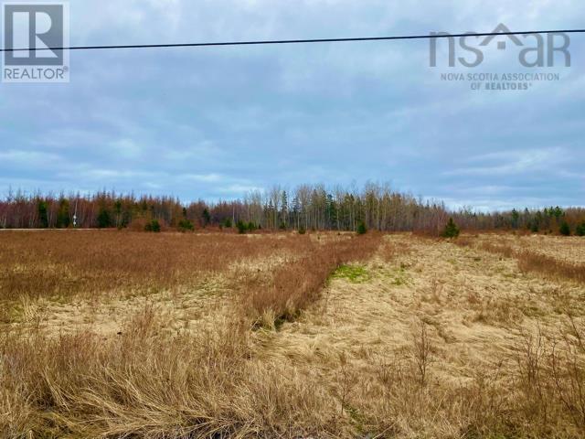 Lot 99 North Shore Road East Wallace Nova Scotia Canada B0K1E0 3