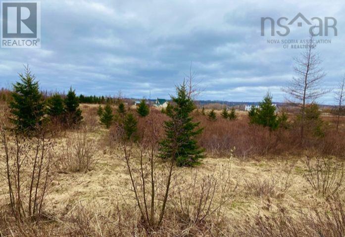 Lot 99 North Shore Road East Wallace Nova Scotia Canada B0K1E0 4