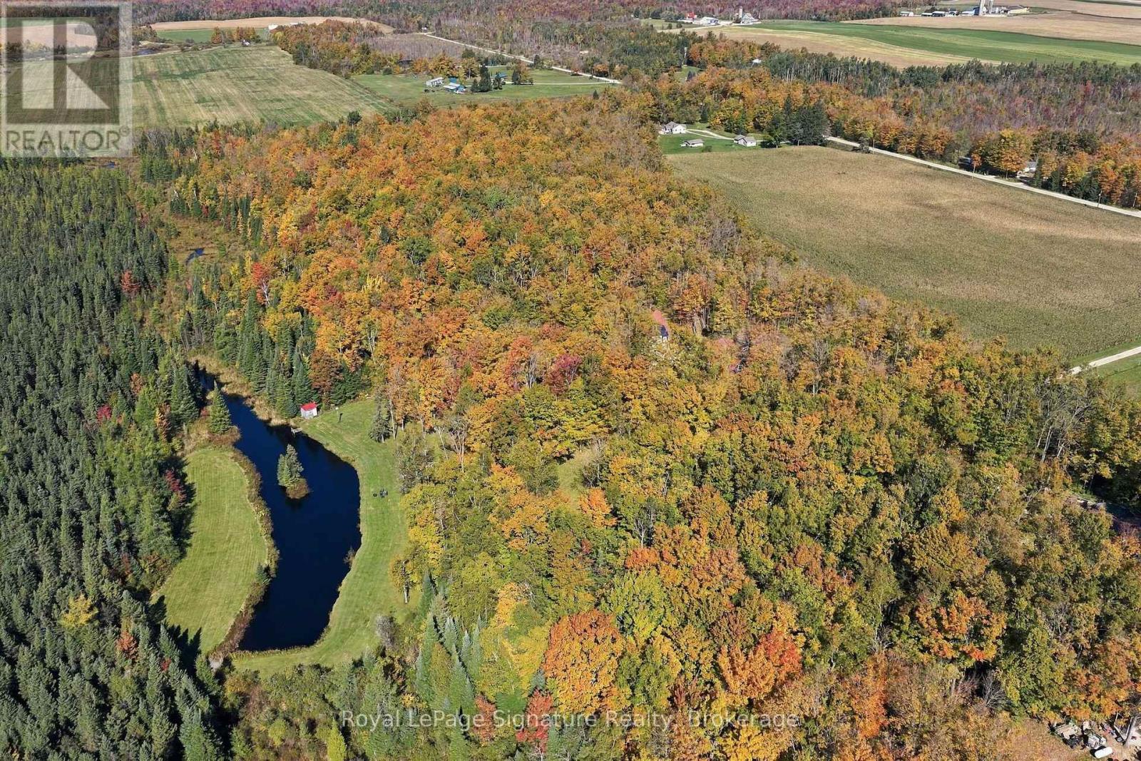 573042 Side Road 57a, Grey Highlands, Ontario  N0C 1A0 - Photo 2 - X13871924