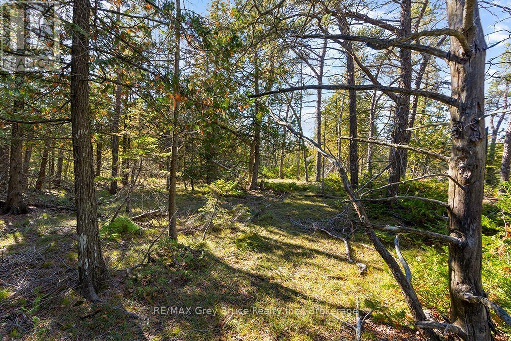 Block E Plan 571 Howard Bowman Drive, Northern Bruce Peninsula, Ontario  N0H 2R0 - Photo 10 - X13872002