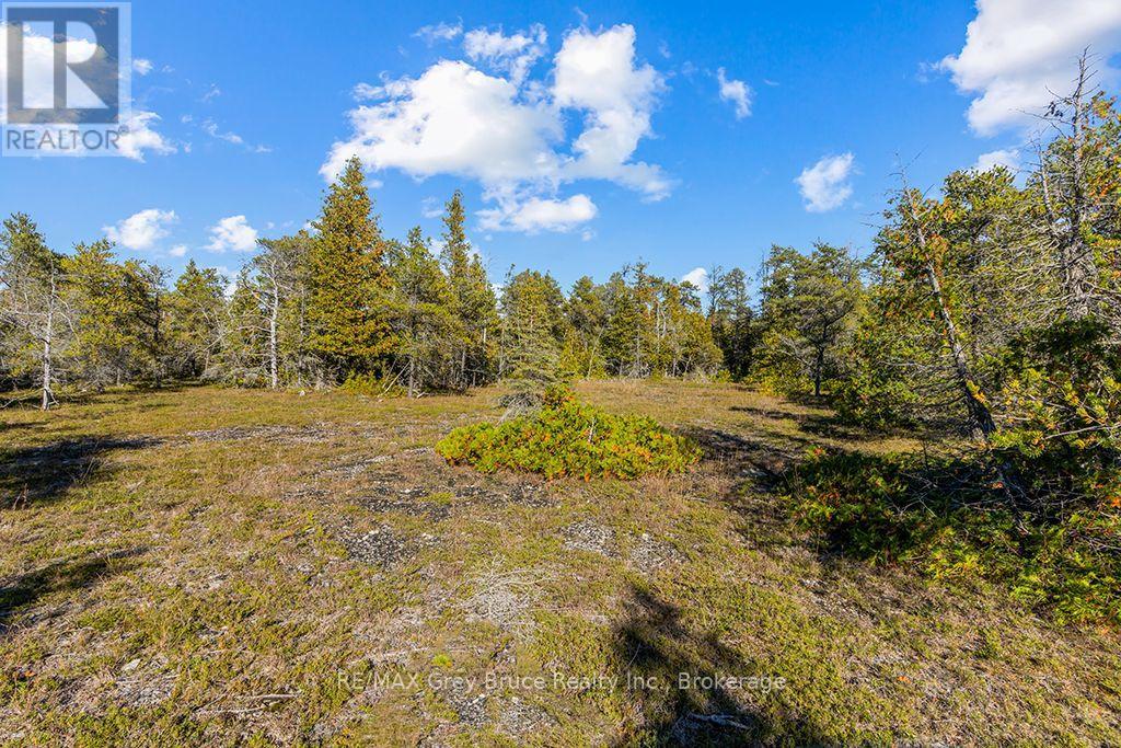 Block E Plan 571 Howard Bowman Drive, Northern Bruce Peninsula, Ontario  N0H 2R0 - Photo 12 - X13872002