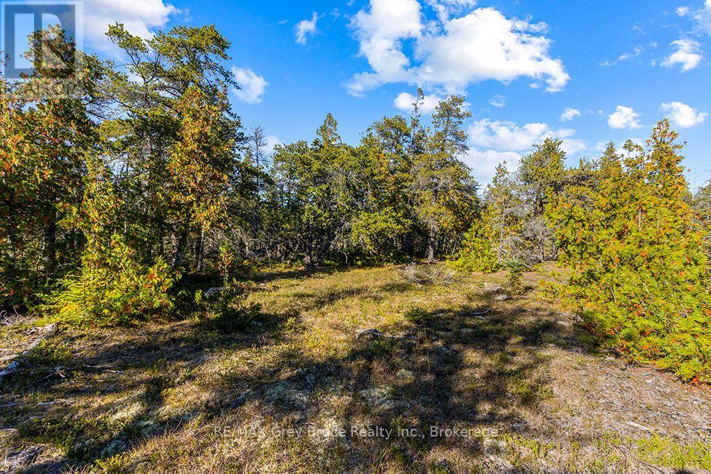 Block E Plan 571 Howard Bowman Drive, Northern Bruce Peninsula, Ontario  N0H 2R0 - Photo 13 - X13872002