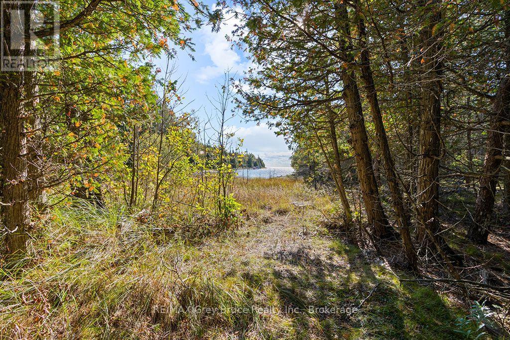 Block E Plan 571 Howard Bowman Drive, Northern Bruce Peninsula, Ontario  N0H 2R0 - Photo 14 - X13872002