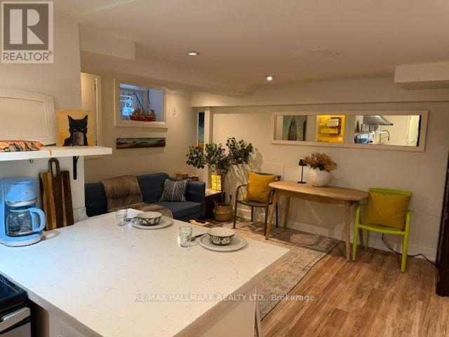 Basement - 18 Pape Avenue, Toronto, Ontario  M4M 2V6 - Photo 20 - E13872346