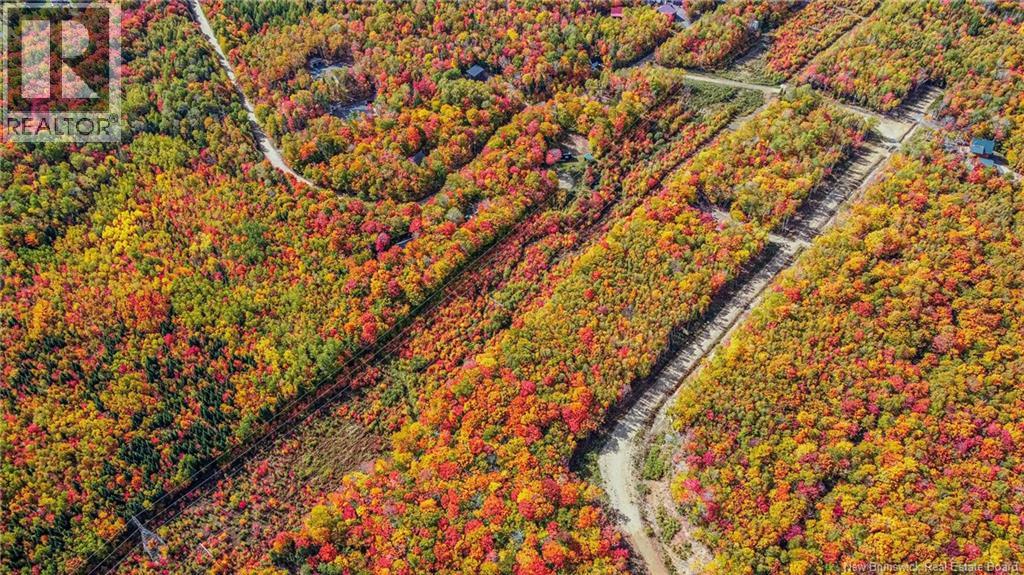 Lot Skiers Lane, Central Hainesville, New Brunswick  E6E 2K2 - Photo 4 - NB149286