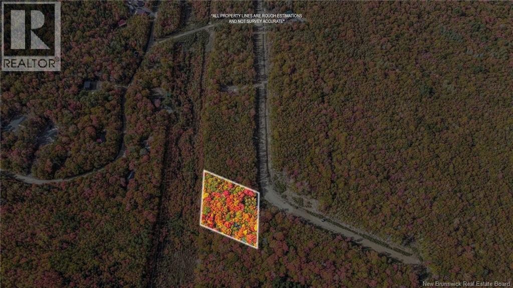 Lot Skiers Lane, Central Hainesville, New Brunswick  E6E 2K2 - Photo 16 - NB149286