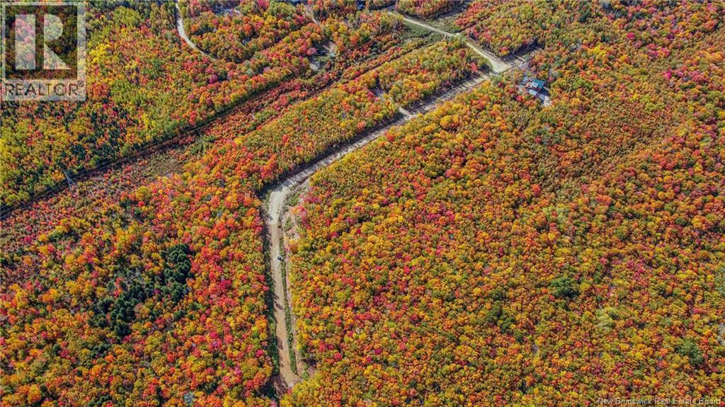 Lot Skiers Lane, Central Hainesville, New Brunswick  E6E 2K2 - Photo 6 - NB149286