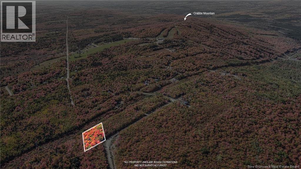 Lot Skiers Lane, Central Hainesville, New Brunswick  E6E 2K2 - Photo 14 - NB149286