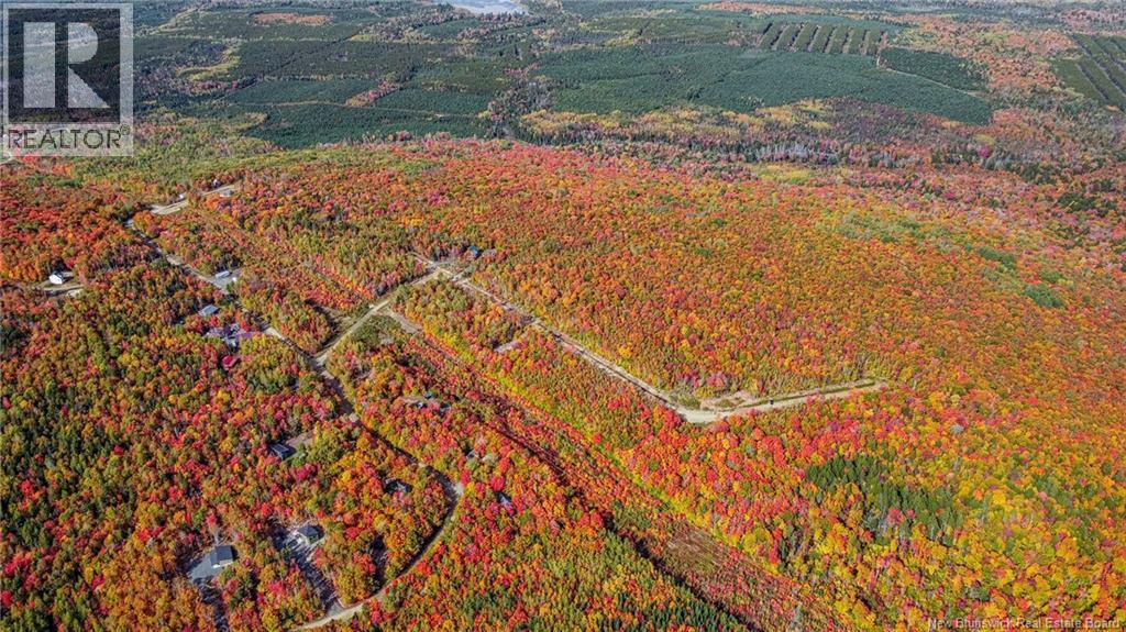 Lot Skiers Lane, Central Hainesville, New Brunswick  E6E 2K2 - Photo 8 - NB149286