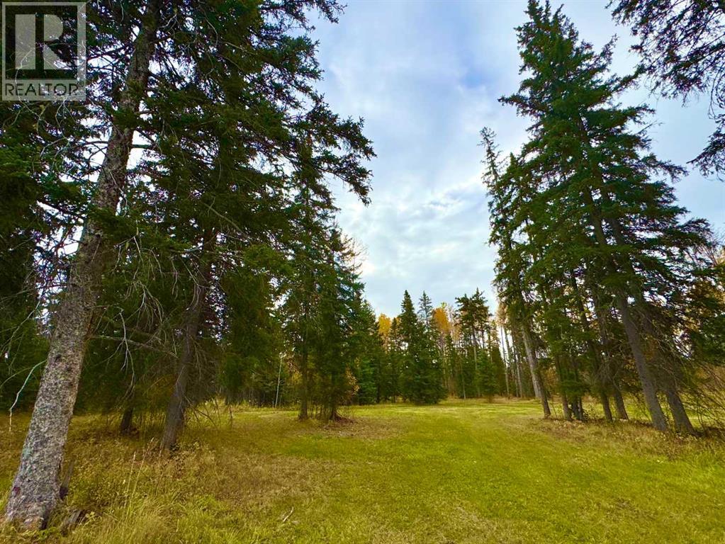201 High Timber Place, Rural Clearwater County, Alberta  T4T 1A7 - Photo 1 - A2264701