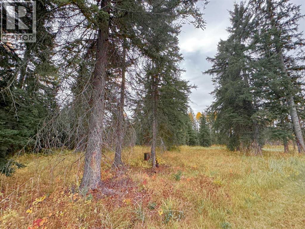 201 High Timber Place, Rural Clearwater County, Alberta  T4T 1A7 - Photo 3 - A2264701