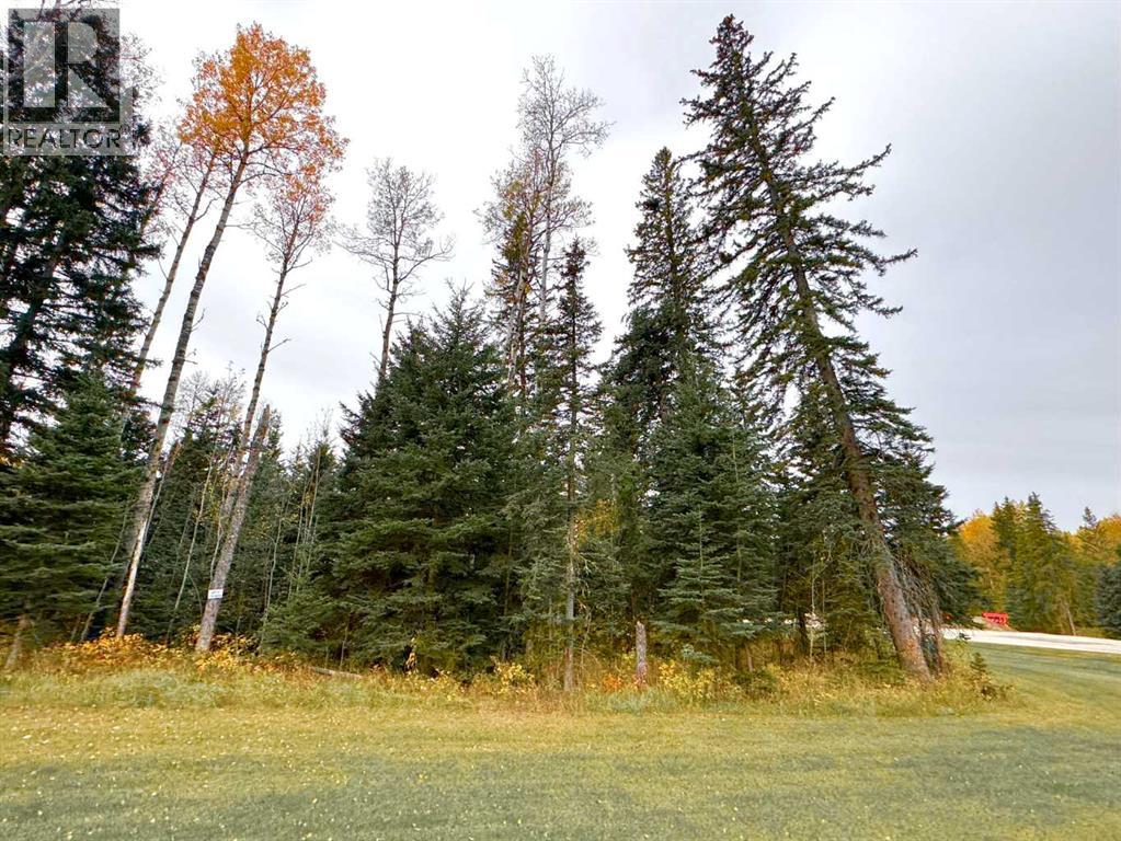 201 High Timber Place, Rural Clearwater County, Alberta  T4T 1A7 - Photo 5 - A2264701