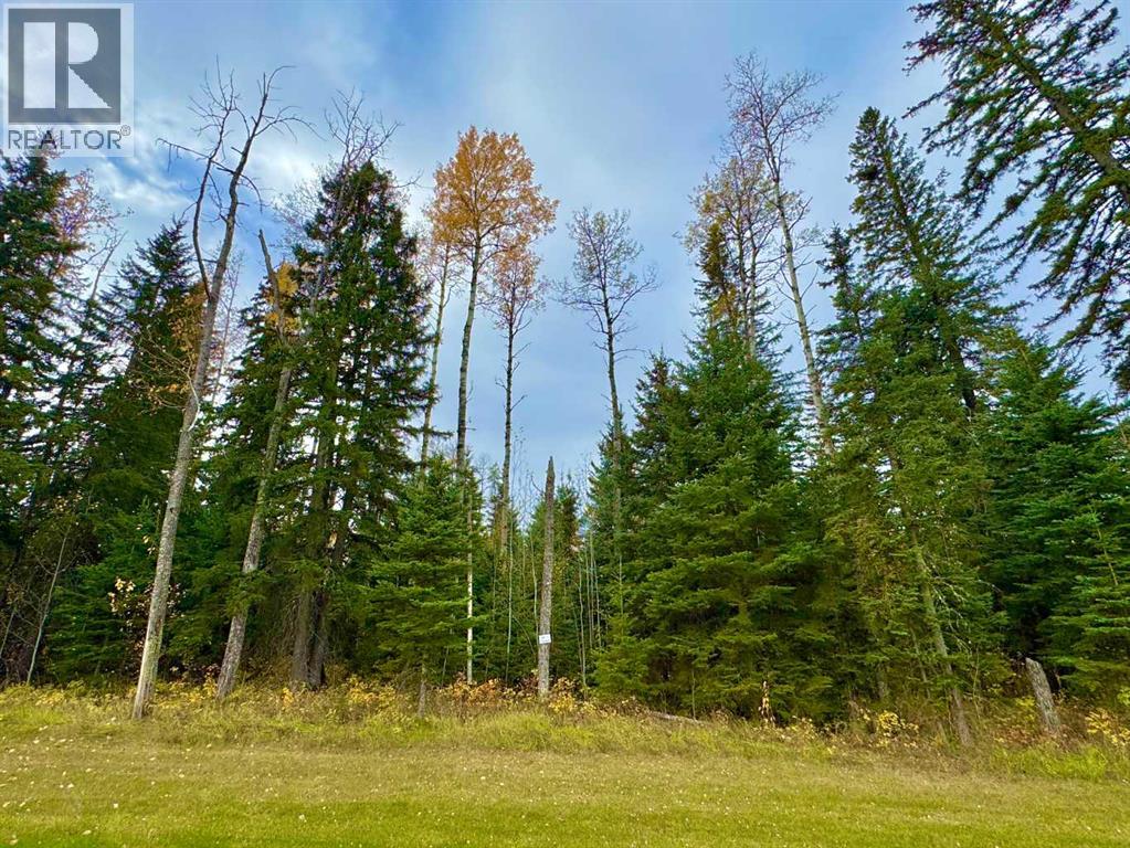 201 High Timber Place, Rural Clearwater County, Alberta  T4T 1A7 - Photo 6 - A2264701