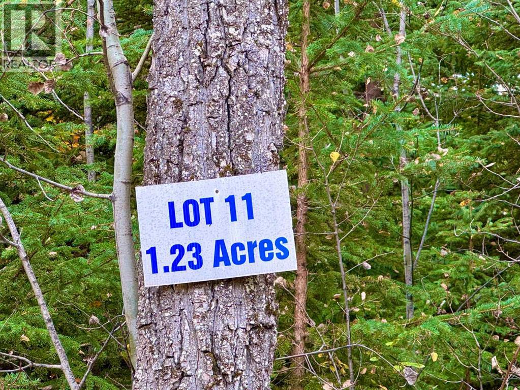 201 High Timber Place, Rural Clearwater County, Alberta  T4T 1A7 - Photo 7 - A2264701