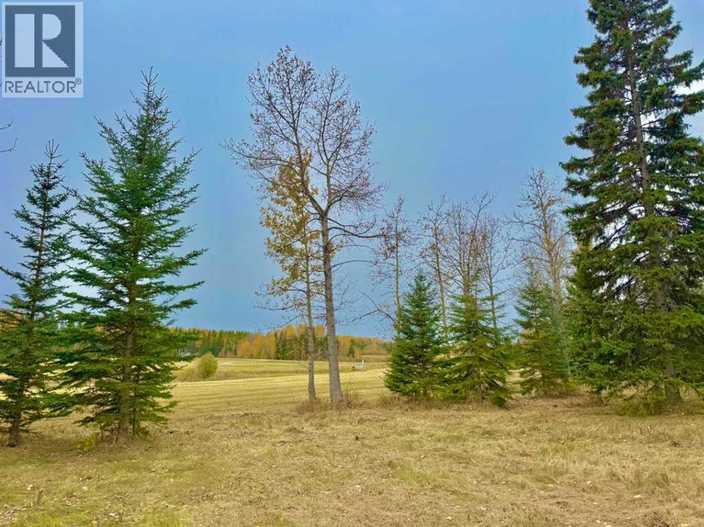 409 Valley View Close, Rural Clearwater County, Alberta  T4T 1A7 - Photo 7 - A2264703