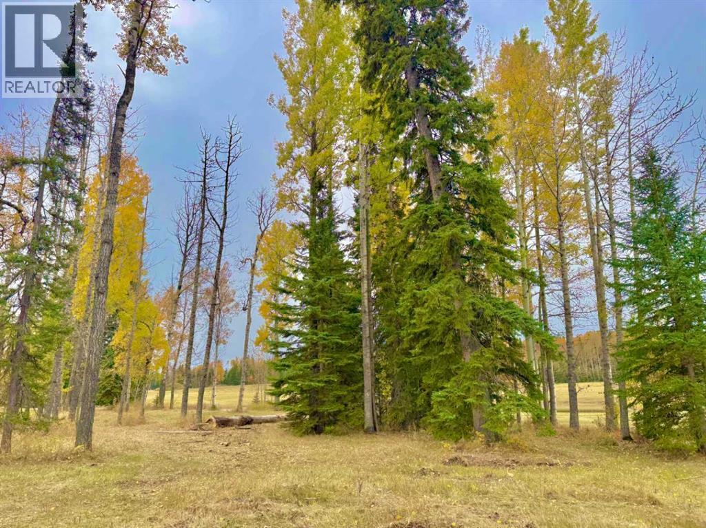 409 Valley View Close, Rural Clearwater County, Alberta  T4T 1A7 - Photo 8 - A2264703