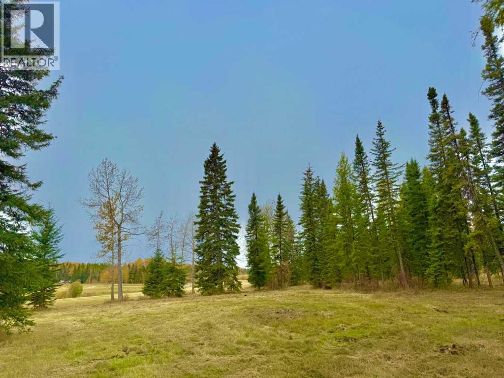 409 Valley View Close, Rural Clearwater County, Alberta  T4T 1A7 - Photo 10 - A2264703