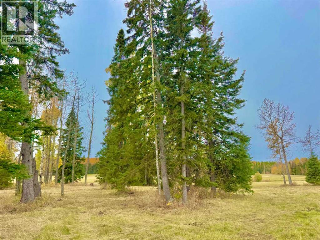 409 Valley View Close, Rural Clearwater County, Alberta  T4T 1A7 - Photo 11 - A2264703