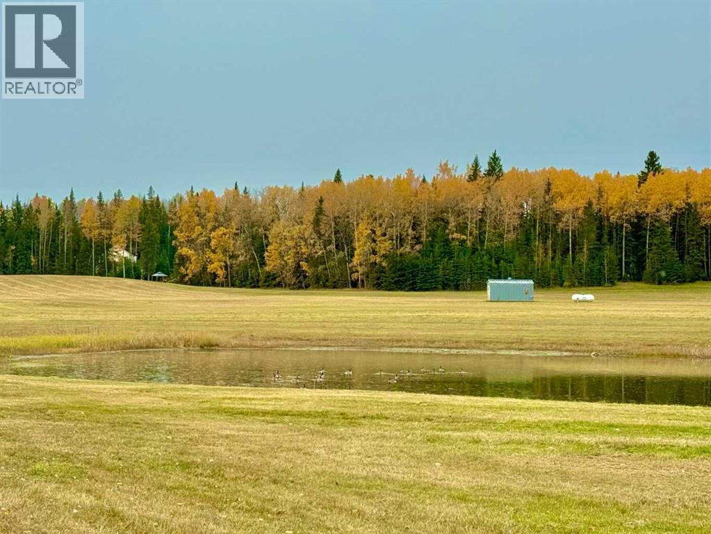 409 Valley View Close, Rural Clearwater County, Alberta  T4T 1A7 - Photo 5 - A2264703